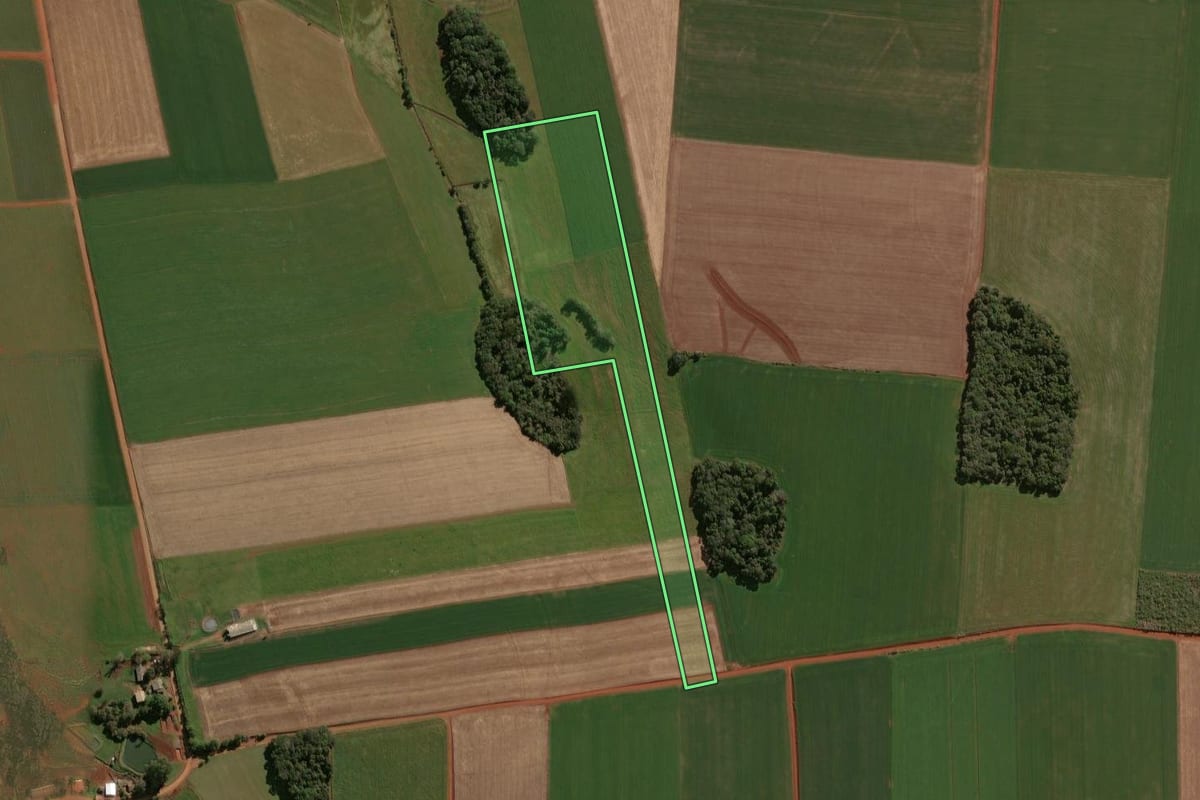 Imagem de satélite do imóvel rural em Selbach (RS), com o contorno declarado no CAR desenhado por cima.