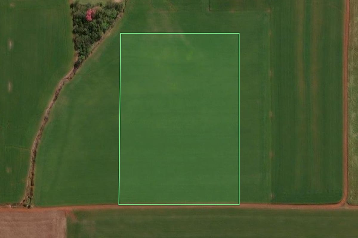 Imagem de satélite do imóvel rural em Selbach (RS), com o contorno declarado no CAR desenhado por cima.