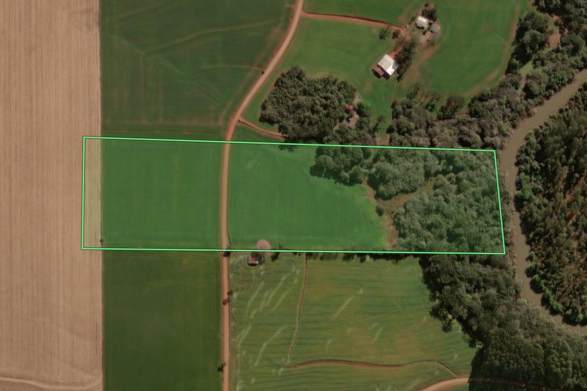 Imagem de satélite do imóvel rural em Selbach (RS), com o contorno declarado no CAR desenhado por cima.