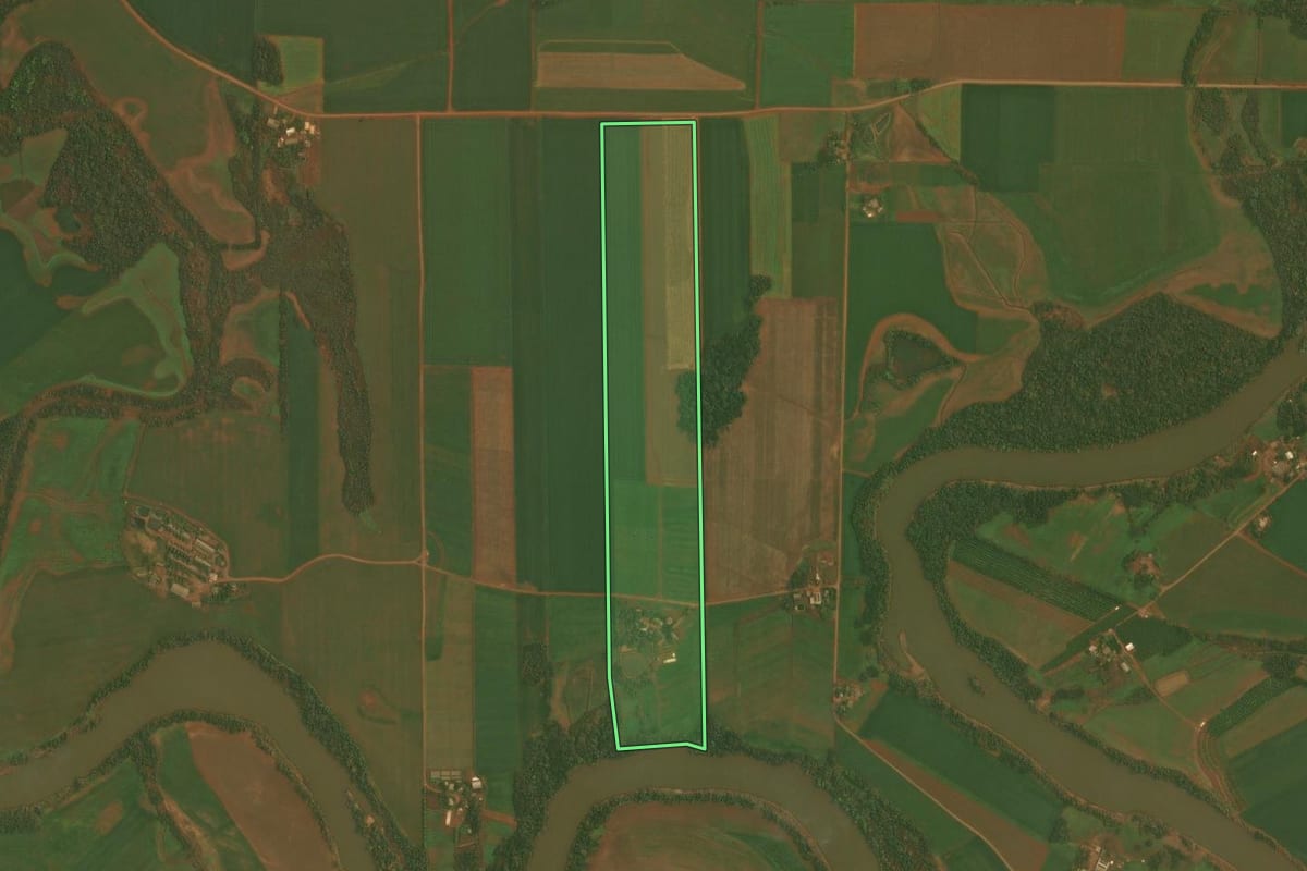Imagem de satélite do imóvel rural em Selbach (RS), com o contorno declarado no CAR desenhado por cima.