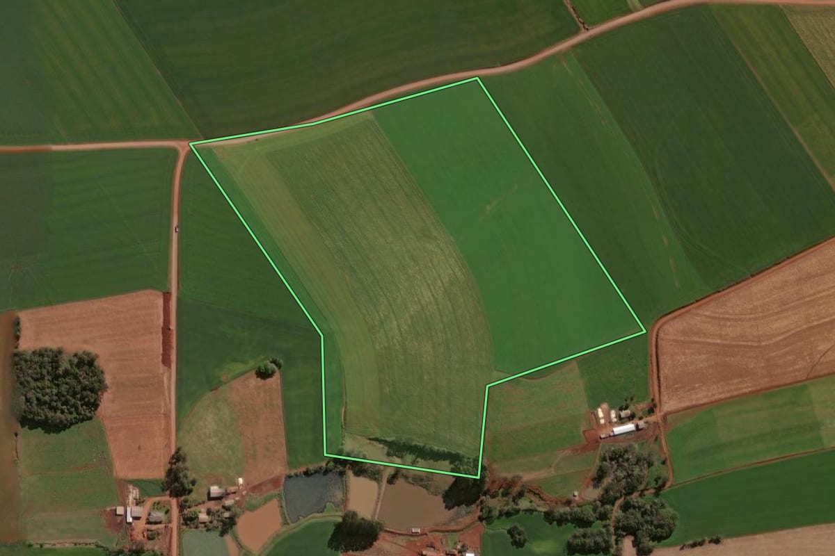 Imagem de satélite do imóvel rural em Selbach (RS), com o contorno declarado no CAR desenhado por cima.