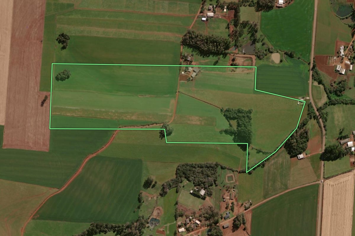 Imagem de satélite do imóvel rural em Selbach (RS), com o contorno declarado no CAR desenhado por cima.