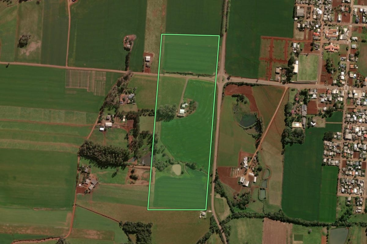 Imagem de satélite do imóvel rural em Selbach (RS), com o contorno declarado no CAR desenhado por cima.