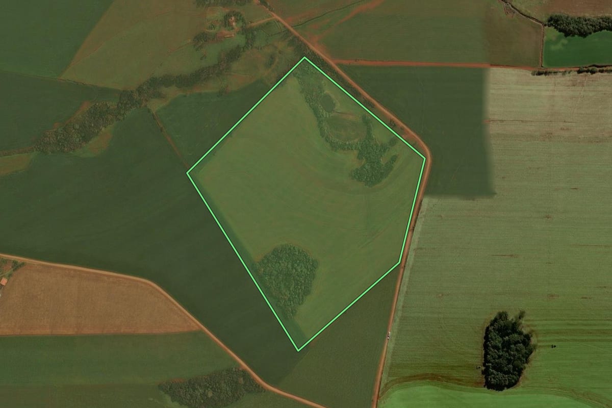 Imagem de satélite do imóvel rural em Selbach (RS), com o contorno declarado no CAR desenhado por cima.