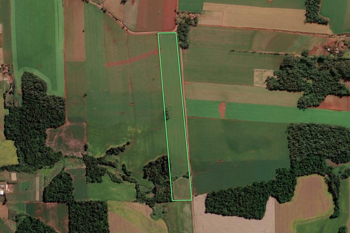 Imagem de satélite do imóvel rural em Senador Salgado Filho (RS), com o contorno declarado no CAR desenhado por cima.