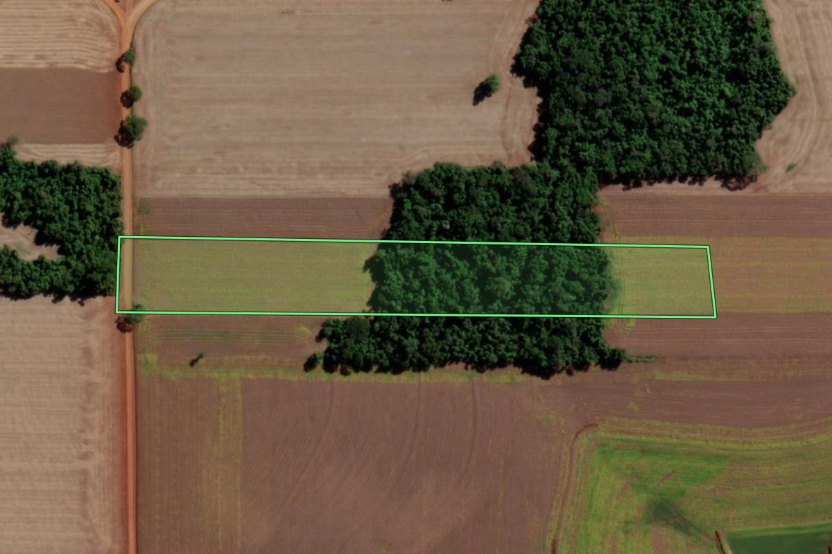Imagem de satélite do imóvel rural em Senador Salgado Filho (RS), com o contorno declarado no CAR desenhado por cima.