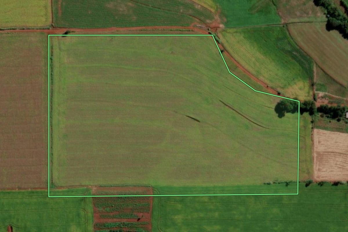Imagem de satélite do imóvel rural em Senador Salgado Filho (RS), com o contorno declarado no CAR desenhado por cima.