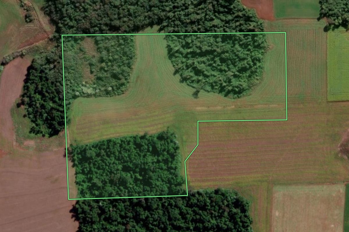 Imagem de satélite do imóvel rural em Senador Salgado Filho (RS), com o contorno declarado no CAR desenhado por cima.