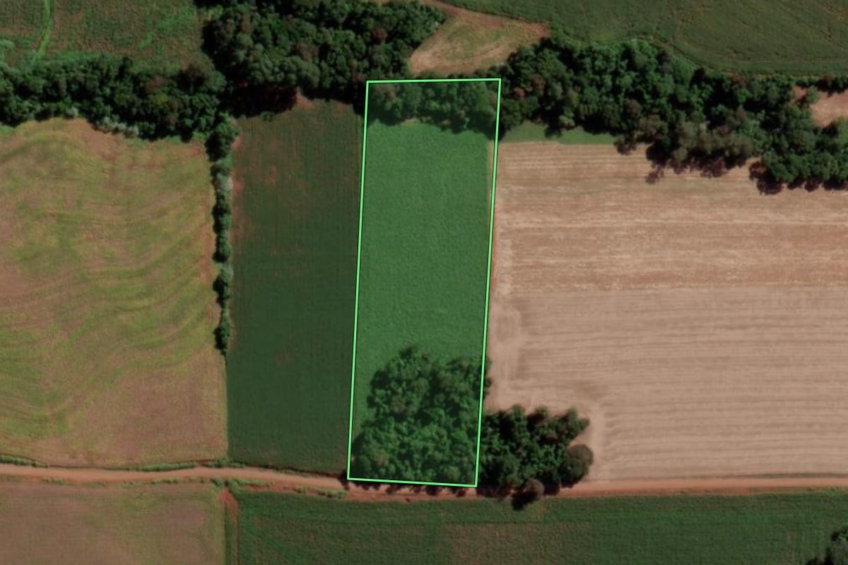 Imagem de satélite do imóvel rural em Senador Salgado Filho (RS), com o contorno declarado no CAR desenhado por cima.