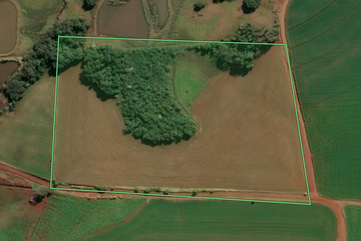 Imagem de satélite do imóvel rural em Senador Salgado Filho (RS), com o contorno declarado no CAR desenhado por cima.