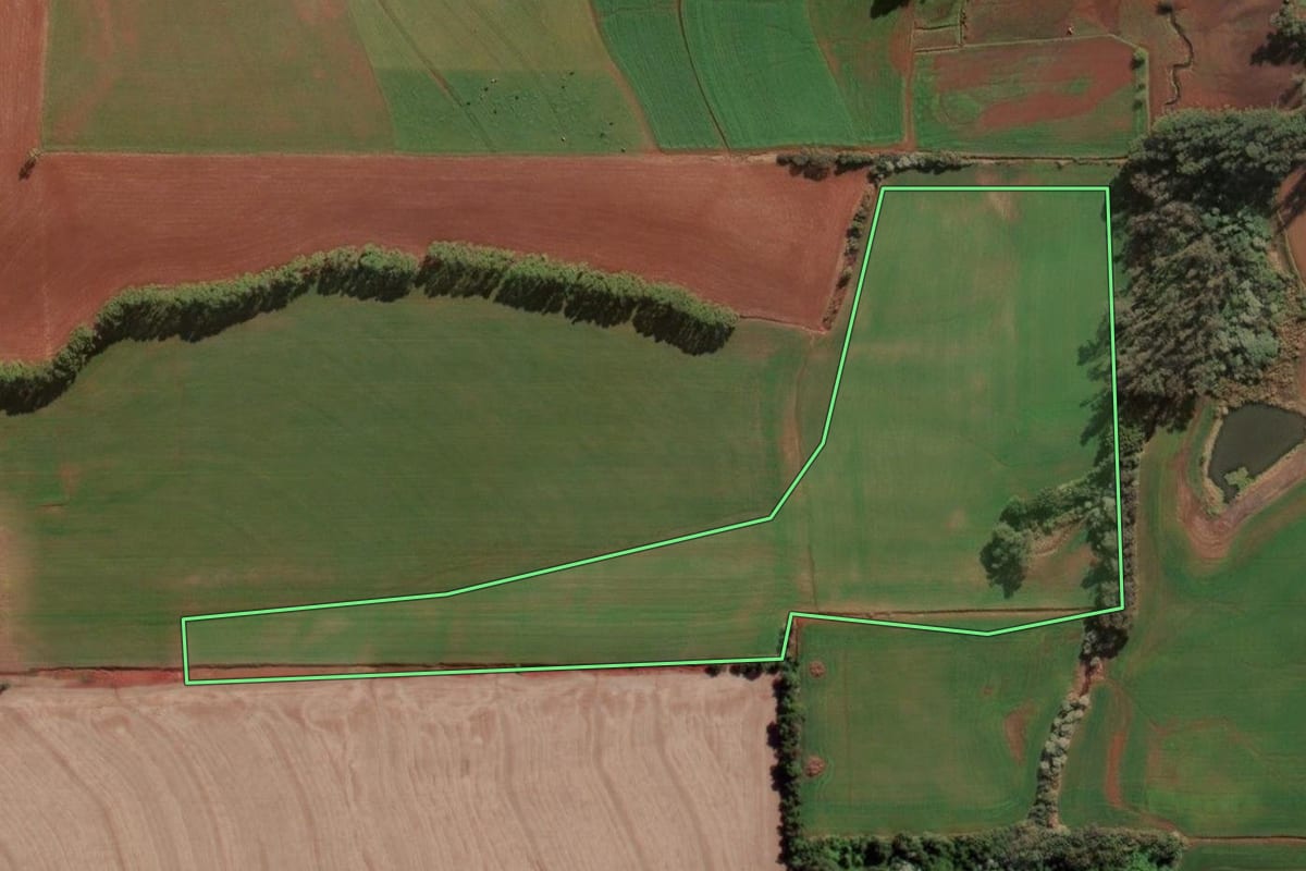 Imagem de satélite do imóvel rural em Senador Salgado Filho (RS), com o contorno declarado no CAR desenhado por cima.
