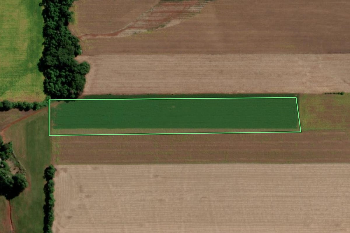 Imagem de satélite do imóvel rural em Senador Salgado Filho (RS), com o contorno declarado no CAR desenhado por cima.