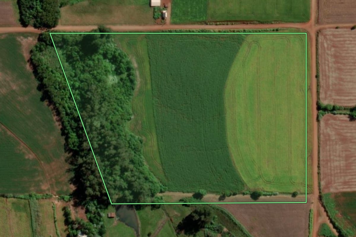 Imagem de satélite do imóvel rural em Senador Salgado Filho (RS), com o contorno declarado no CAR desenhado por cima.