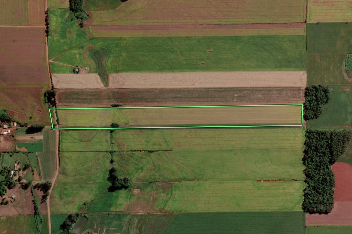 Imagem de satélite do imóvel rural em Senador Salgado Filho (RS), com o contorno declarado no CAR desenhado por cima.