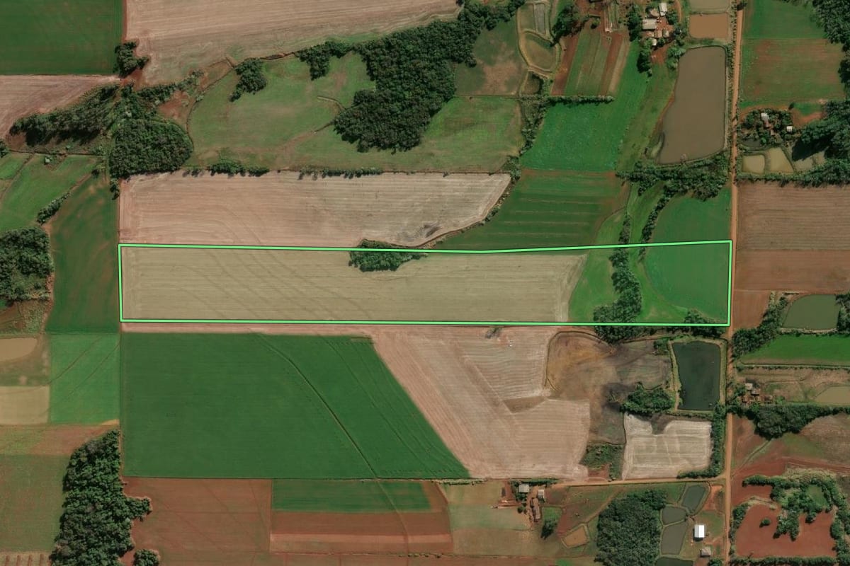 Imagem de satélite do imóvel rural em Senador Salgado Filho (RS), com o contorno declarado no CAR desenhado por cima.