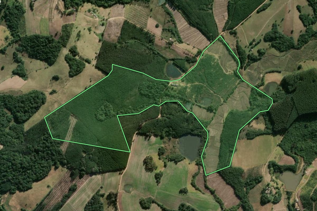 Imagem de satélite do imóvel rural em Sentinela do Sul (RS), com o contorno declarado no CAR desenhado por cima.