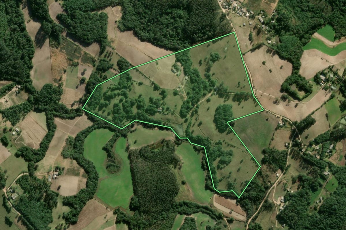Imagem de satélite do imóvel rural em Sentinela do Sul (RS), com o contorno declarado no CAR desenhado por cima.
