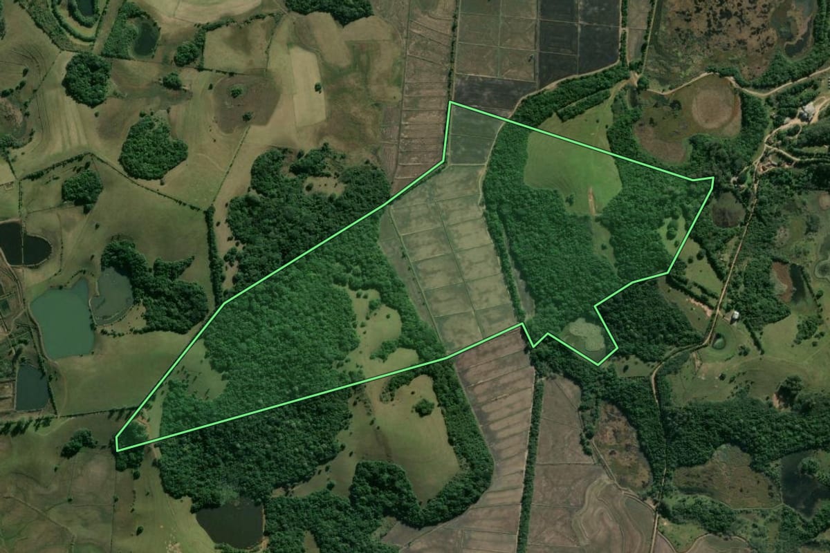 Imagem de satélite do imóvel rural em Sentinela do Sul (RS), com o contorno declarado no CAR desenhado por cima.