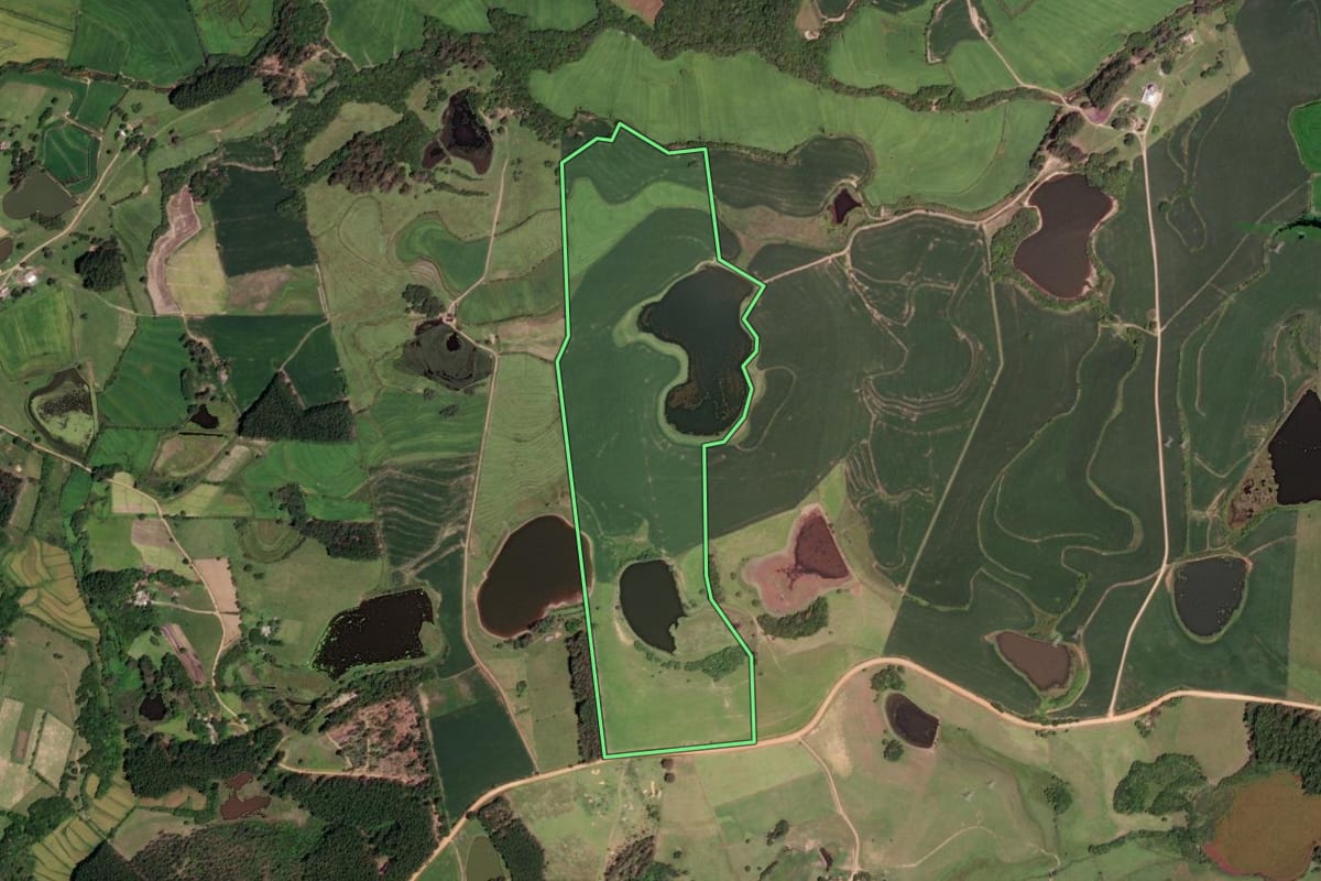 Imagem de satélite do imóvel rural em Sentinela do Sul (RS), com o contorno declarado no CAR desenhado por cima.
