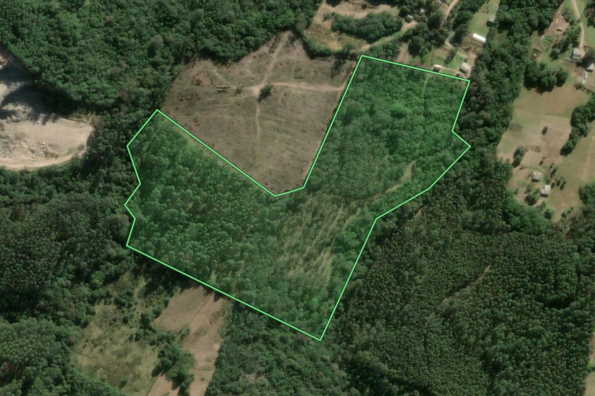 Imagem de satélite do imóvel rural em Sentinela do Sul (RS), com o contorno declarado no CAR desenhado por cima.