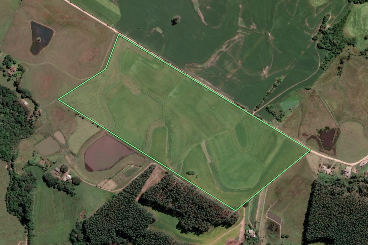 Imagem de satélite do imóvel rural em Sentinela do Sul (RS), com o contorno declarado no CAR desenhado por cima.