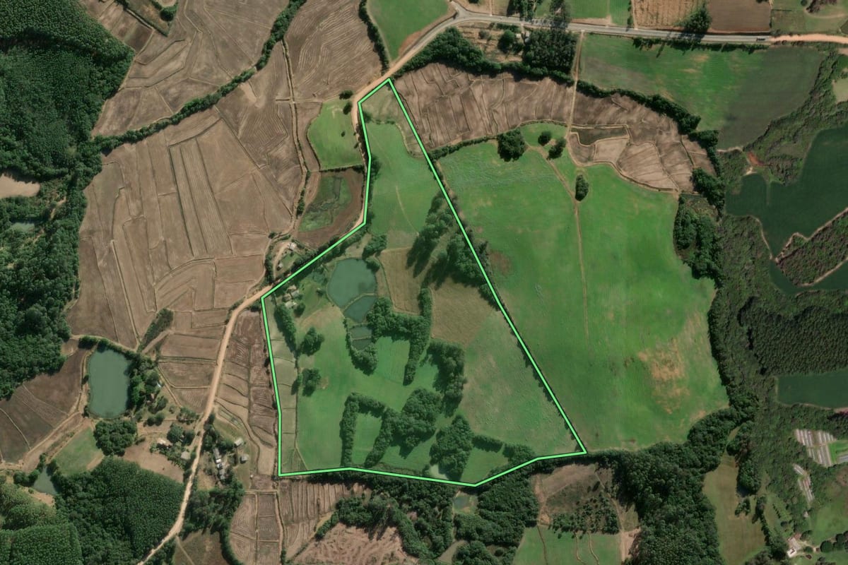 Imagem de satélite do imóvel rural em Sentinela do Sul (RS), com o contorno declarado no CAR desenhado por cima.