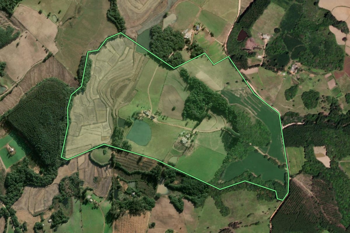 Imagem de satélite do imóvel rural em Sentinela do Sul (RS), com o contorno declarado no CAR desenhado por cima.