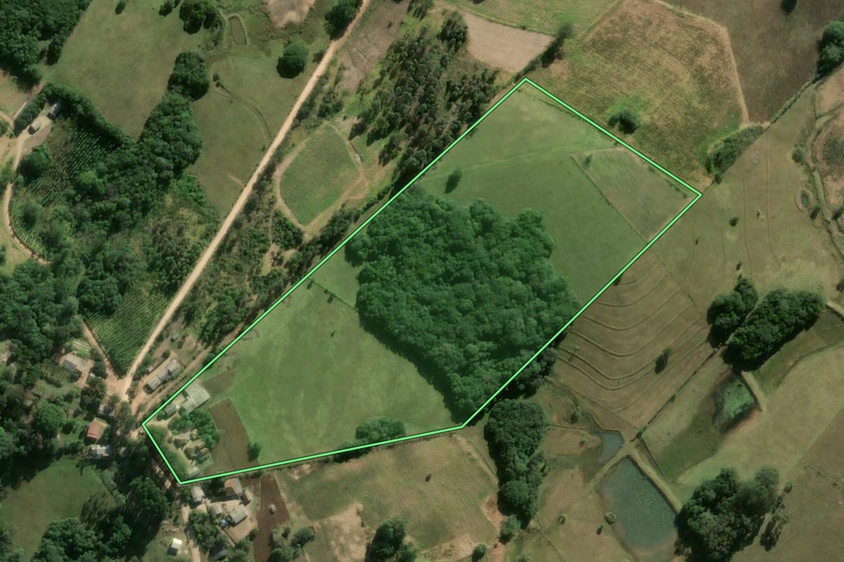Imagem de satélite do imóvel rural em Sentinela do Sul (RS), com o contorno declarado no CAR desenhado por cima.