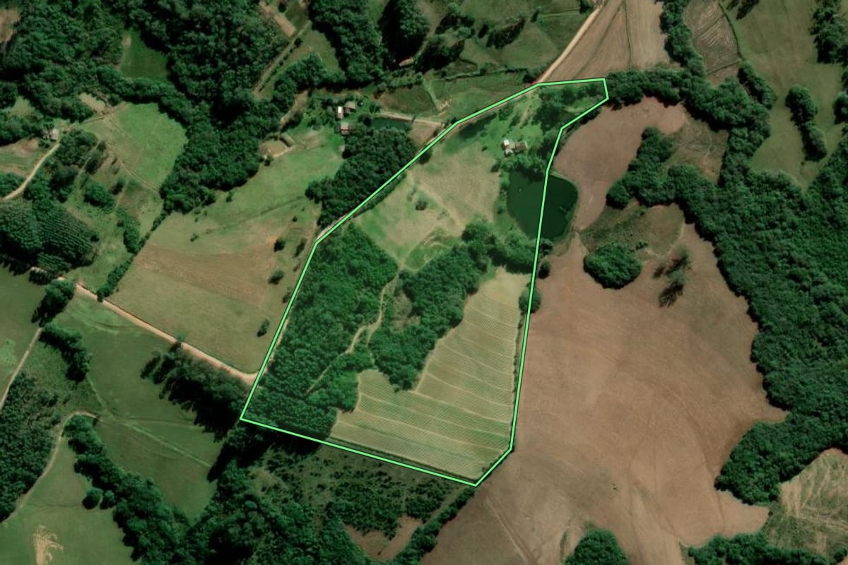 Imagem de satélite do imóvel rural em Sentinela do Sul (RS), com o contorno declarado no CAR desenhado por cima.