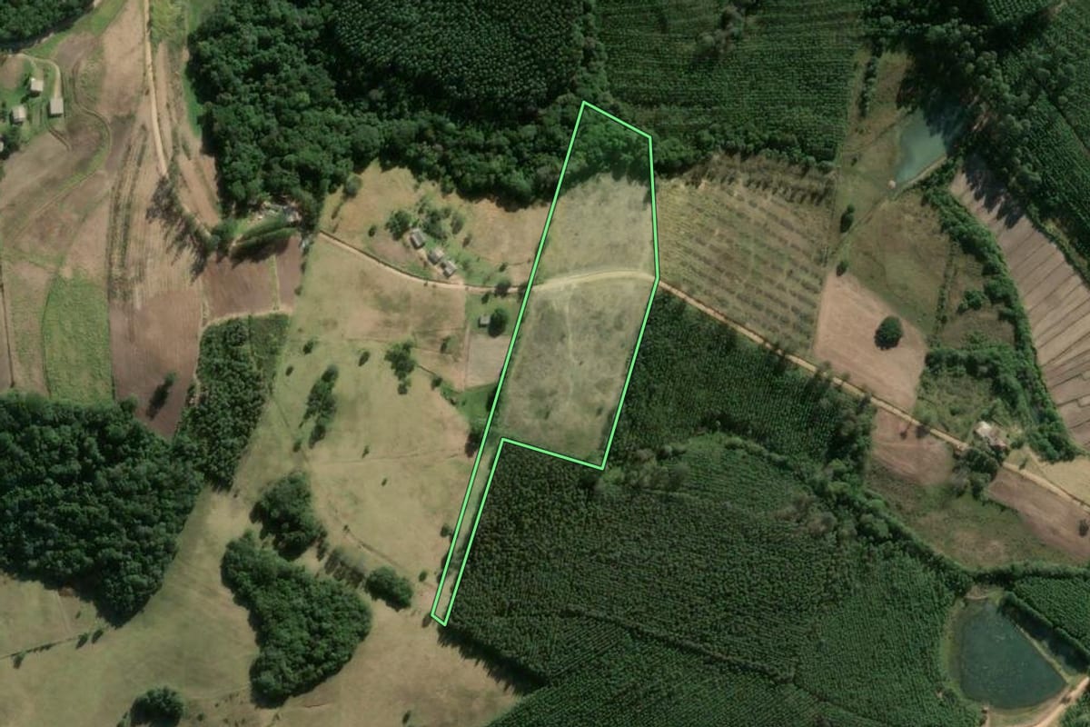 Imagem de satélite do imóvel rural em Sentinela do Sul (RS), com o contorno declarado no CAR desenhado por cima.