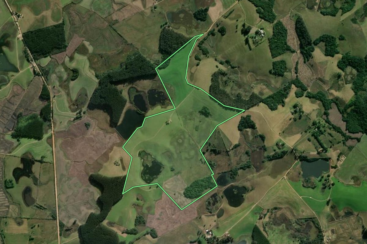 Imagem de satélite do imóvel rural em Sentinela do Sul (RS), com o contorno declarado no CAR desenhado por cima.