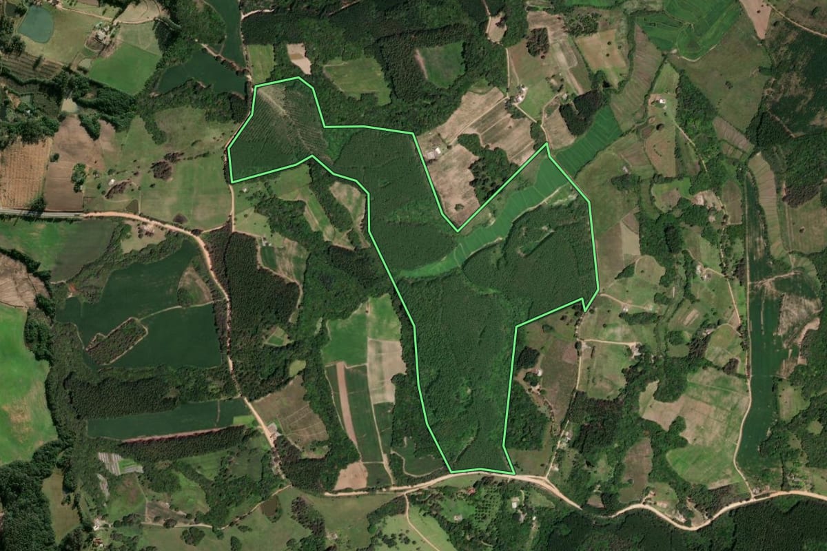 Imagem de satélite do imóvel rural em Sentinela do Sul (RS), com o contorno declarado no CAR desenhado por cima.