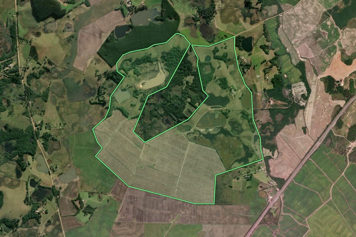 Imagem de satélite do imóvel rural em Sentinela do Sul (RS), com o contorno declarado no CAR desenhado por cima.