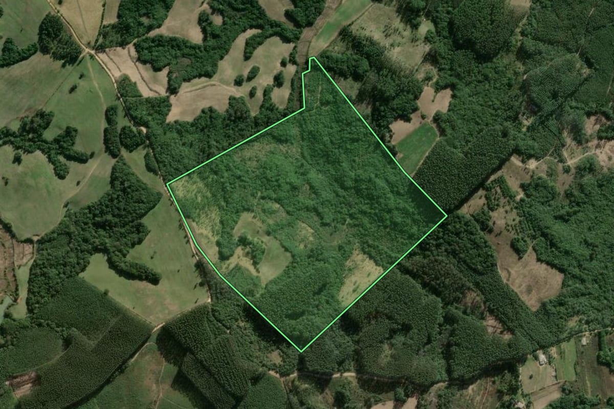 Imagem de satélite do imóvel rural em Sentinela do Sul (RS), com o contorno declarado no CAR desenhado por cima.