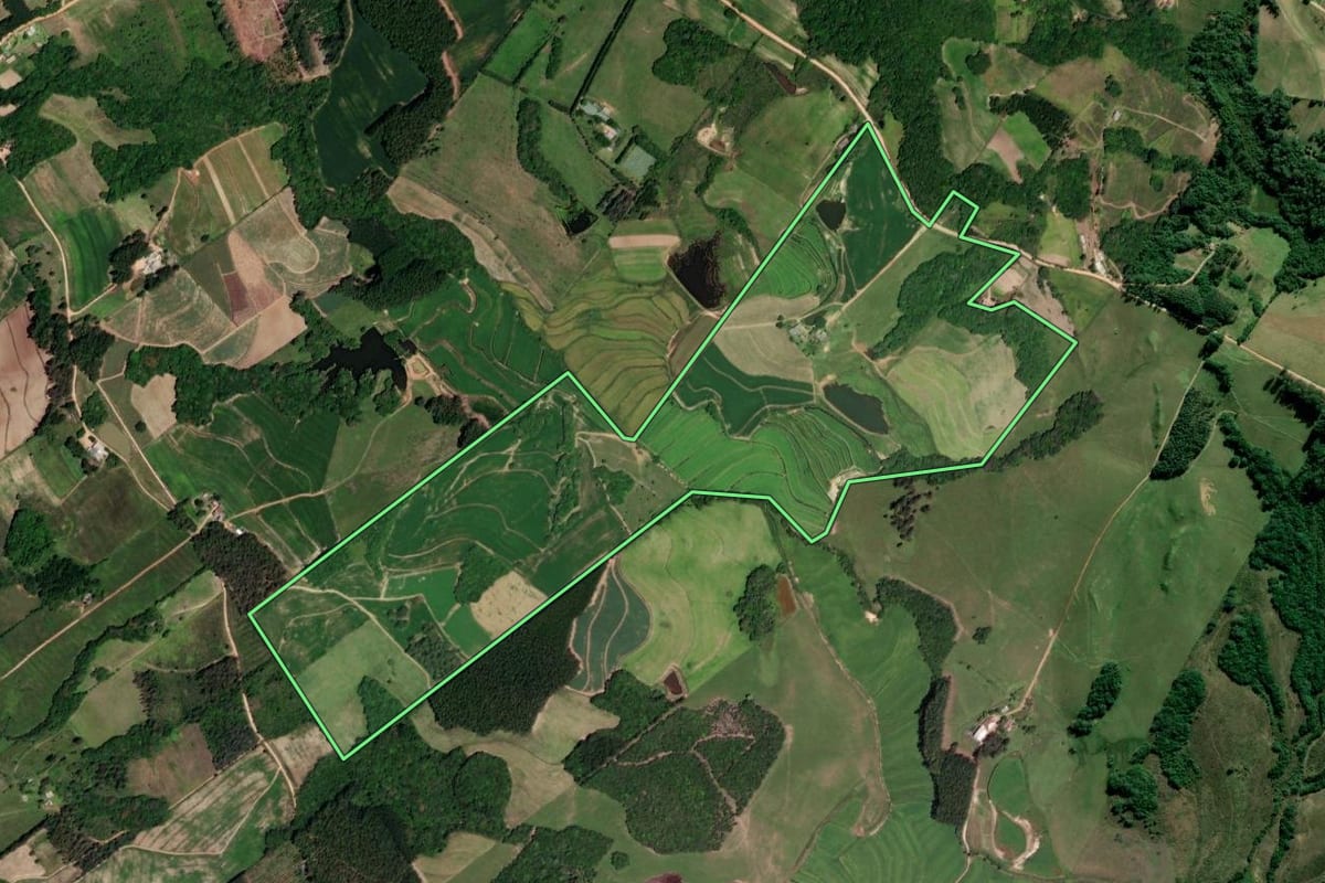 Imagem de satélite do imóvel rural em Sentinela do Sul (RS), com o contorno declarado no CAR desenhado por cima.