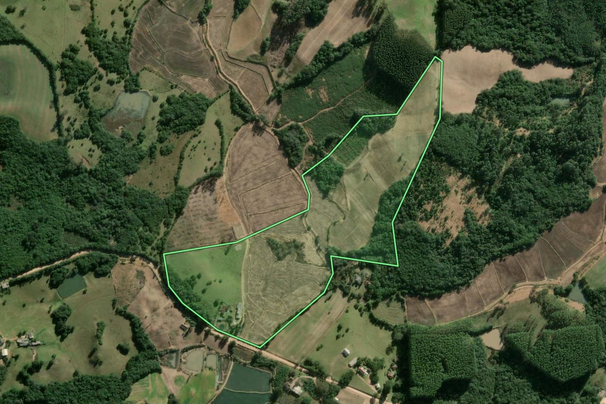 Imagem de satélite do imóvel rural em Sentinela do Sul (RS), com o contorno declarado no CAR desenhado por cima.
