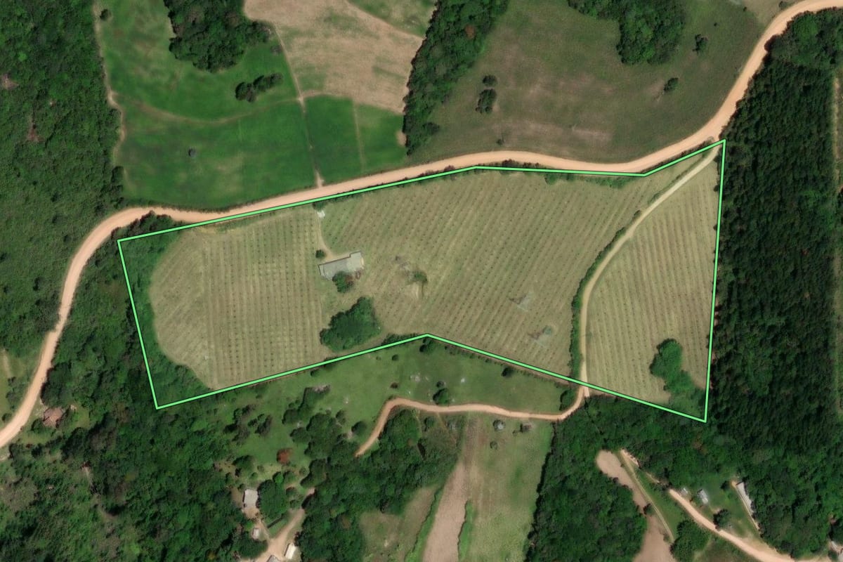 Imagem de satélite do imóvel rural em Sentinela do Sul (RS), com o contorno declarado no CAR desenhado por cima.