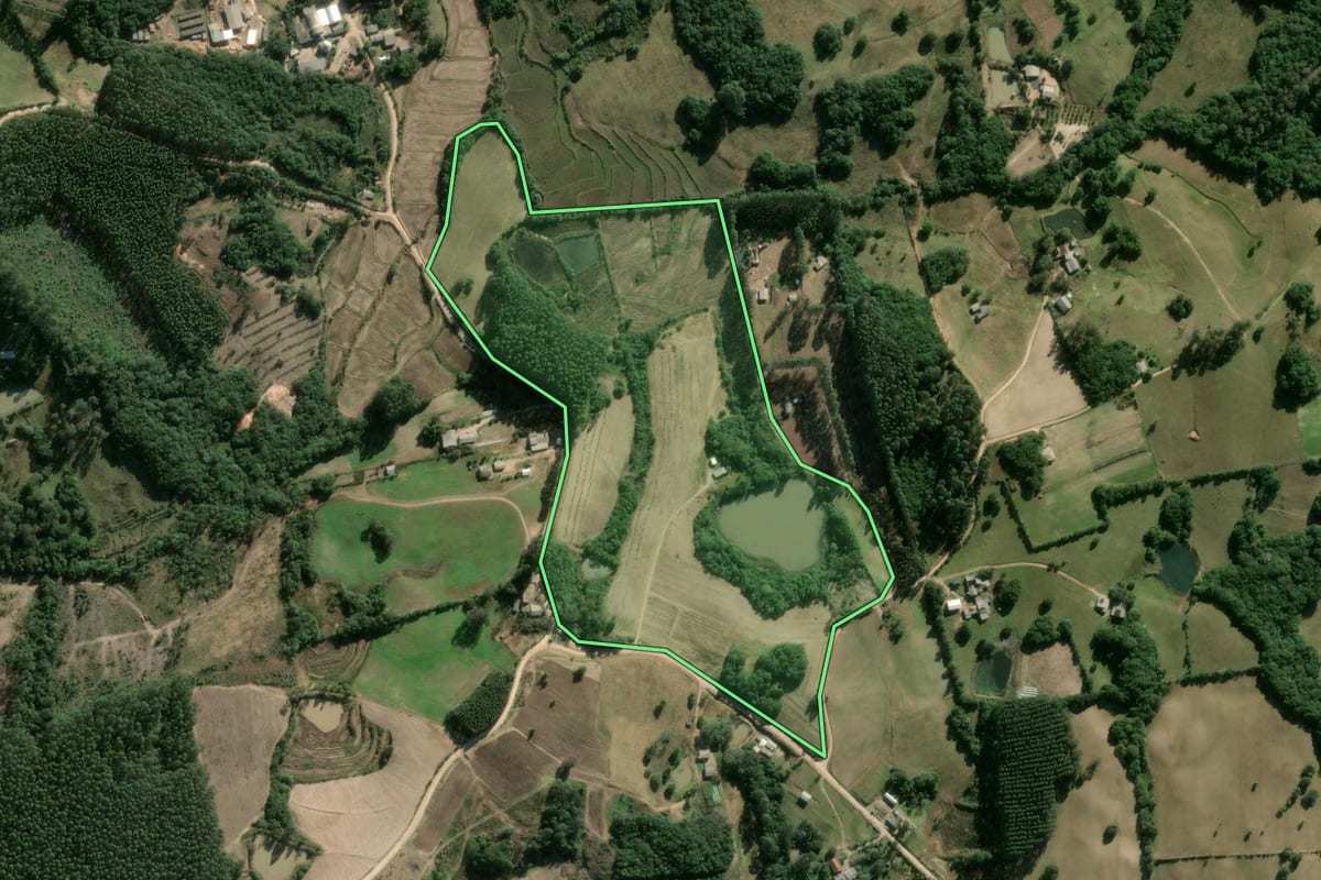 Imagem de satélite do imóvel rural em Sentinela do Sul (RS), com o contorno declarado no CAR desenhado por cima.