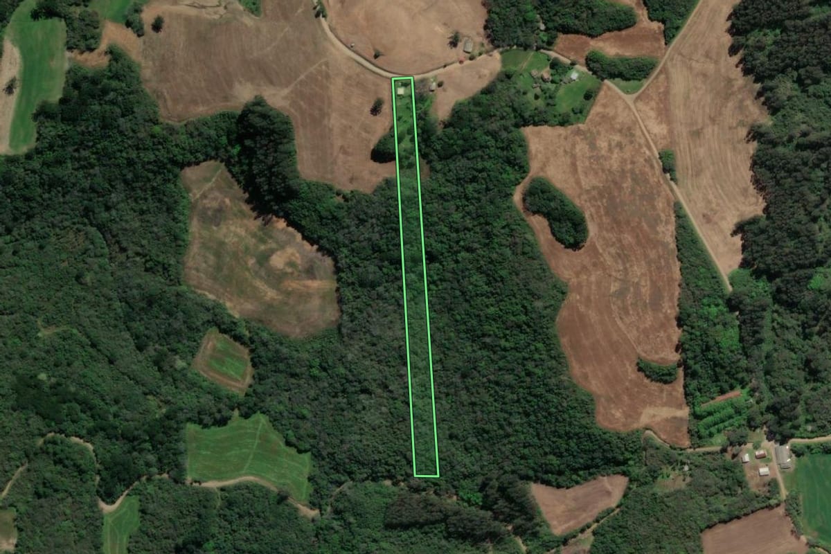 Imagem de satélite do imóvel rural em Serafina Corrêa (RS), com o contorno declarado no CAR desenhado por cima.