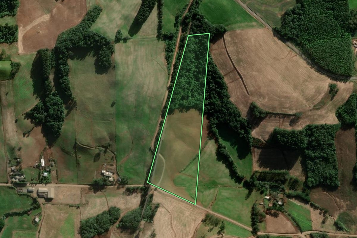 Imagem de satélite do imóvel rural em Serafina Corrêa (RS), com o contorno declarado no CAR desenhado por cima.
