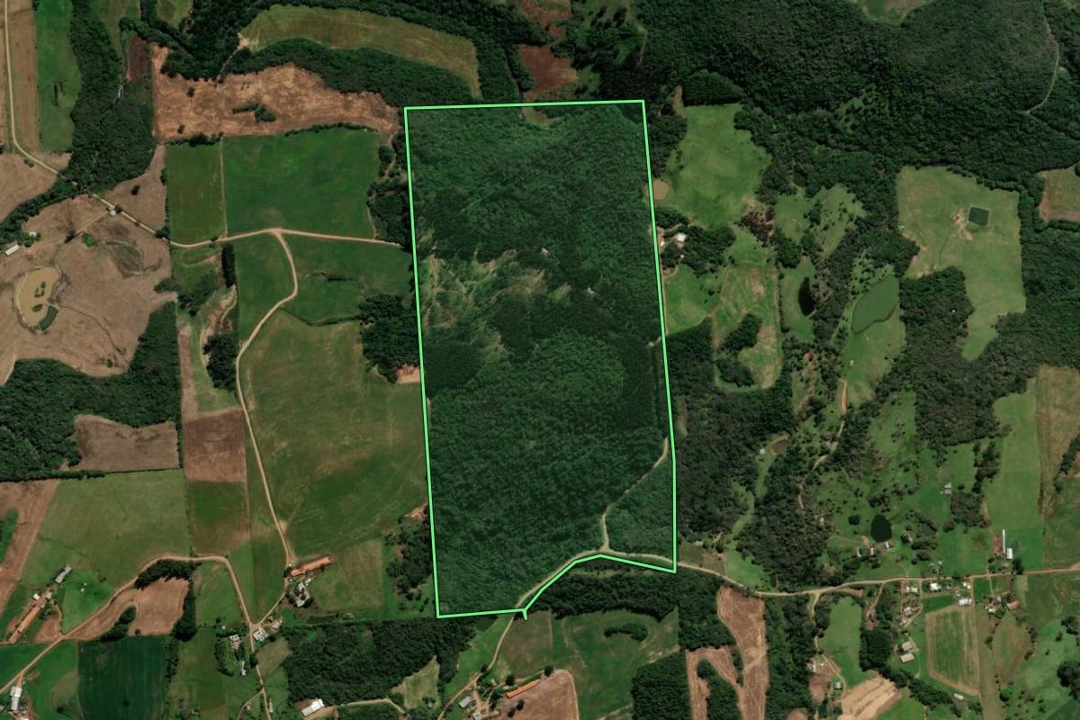Imagem de satélite do imóvel rural em Serafina Corrêa (RS), com o contorno declarado no CAR desenhado por cima.