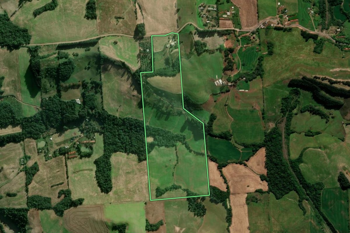 Imagem de satélite do imóvel rural em Serafina Corrêa (RS), com o contorno declarado no CAR desenhado por cima.