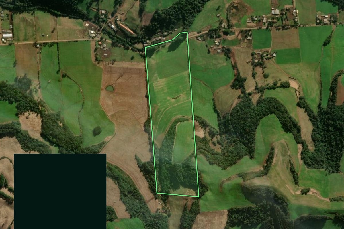 Imagem de satélite do imóvel rural em Serafina Corrêa (RS), com o contorno declarado no CAR desenhado por cima.