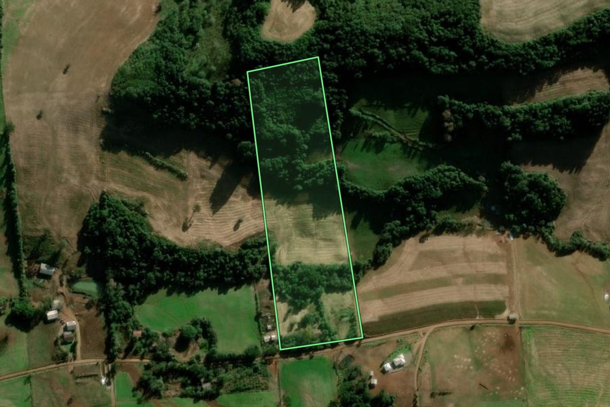 Imagem de satélite do imóvel rural em Serafina Corrêa (RS), com o contorno declarado no CAR desenhado por cima.