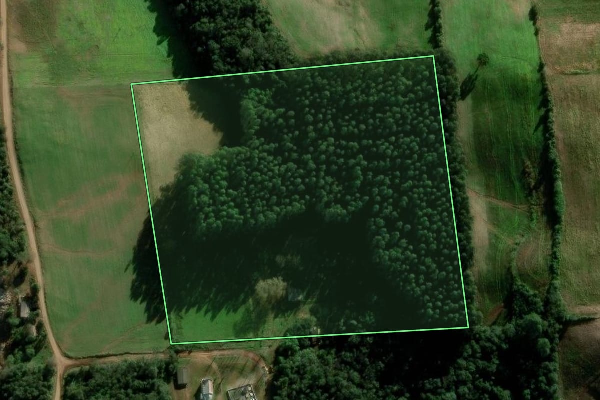 Imagem de satélite do imóvel rural em Serafina Corrêa (RS), com o contorno declarado no CAR desenhado por cima.