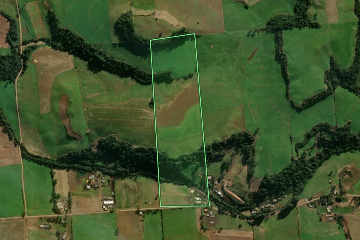 Imagem de satélite do imóvel rural em Serafina Corrêa (RS), com o contorno declarado no CAR desenhado por cima.