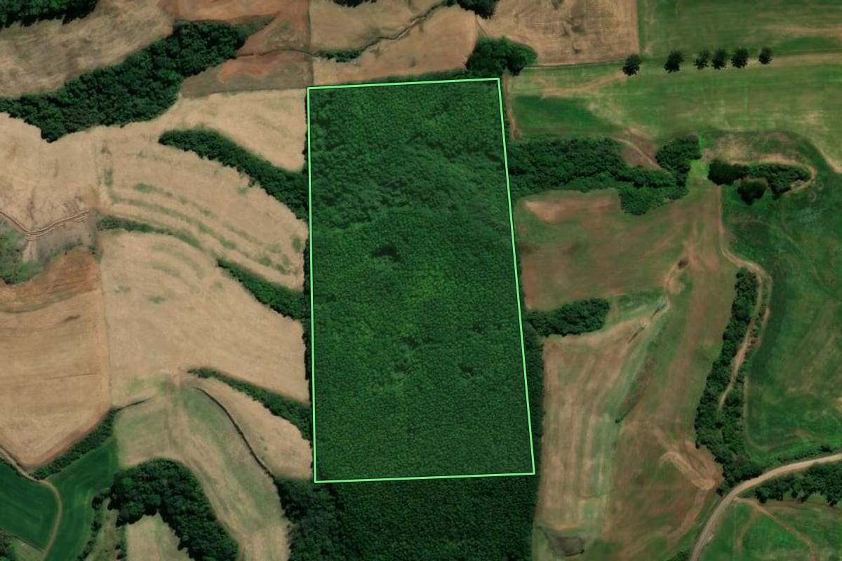 Imagem de satélite do imóvel rural em Serafina Corrêa (RS), com o contorno declarado no CAR desenhado por cima.