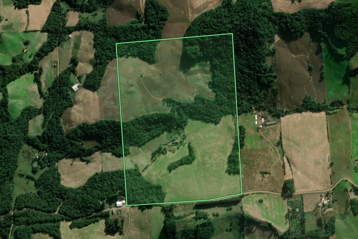 Imagem de satélite do imóvel rural em Serafina Corrêa (RS), com o contorno declarado no CAR desenhado por cima.
