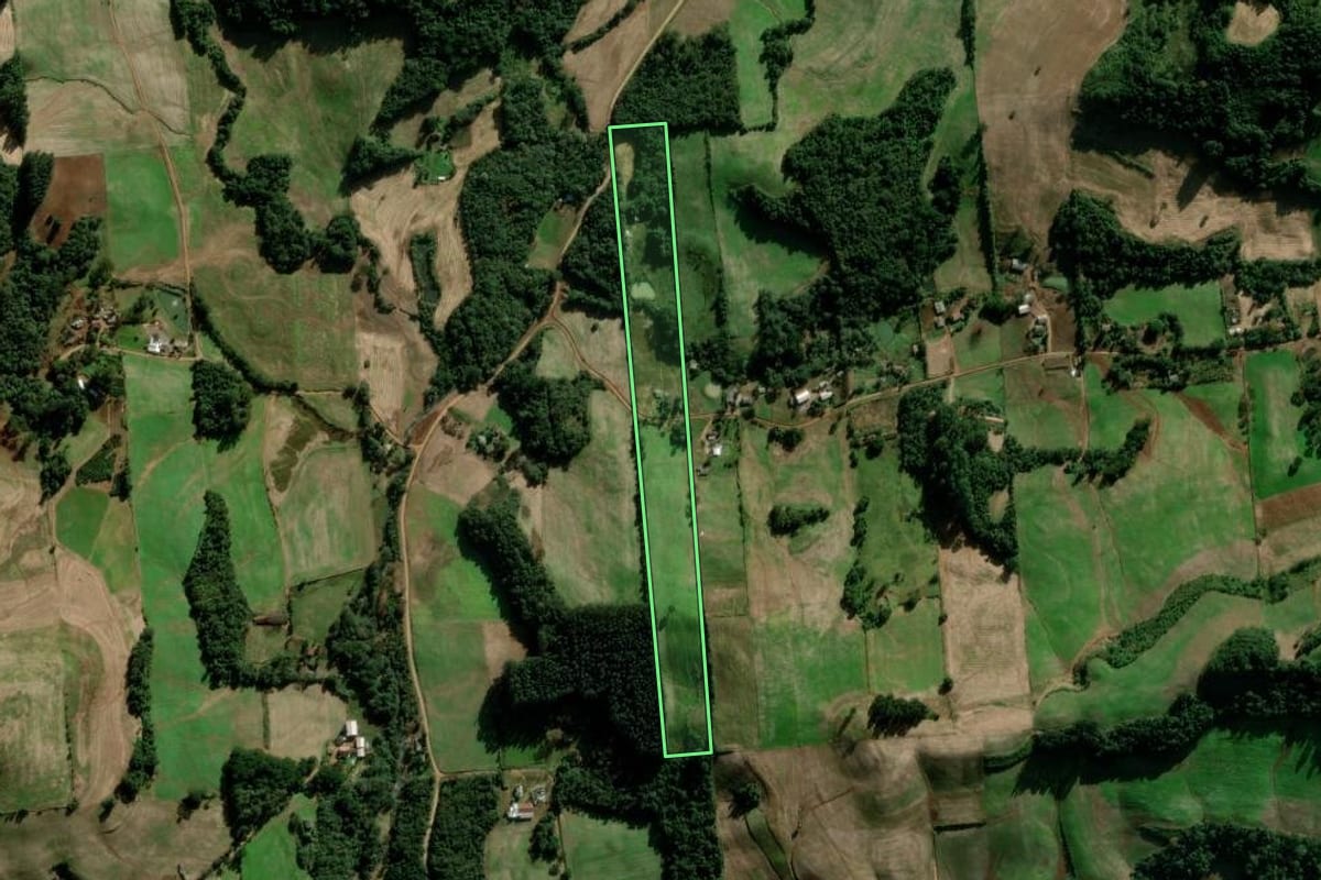 Imagem de satélite do imóvel rural em Serafina Corrêa (RS), com o contorno declarado no CAR desenhado por cima.