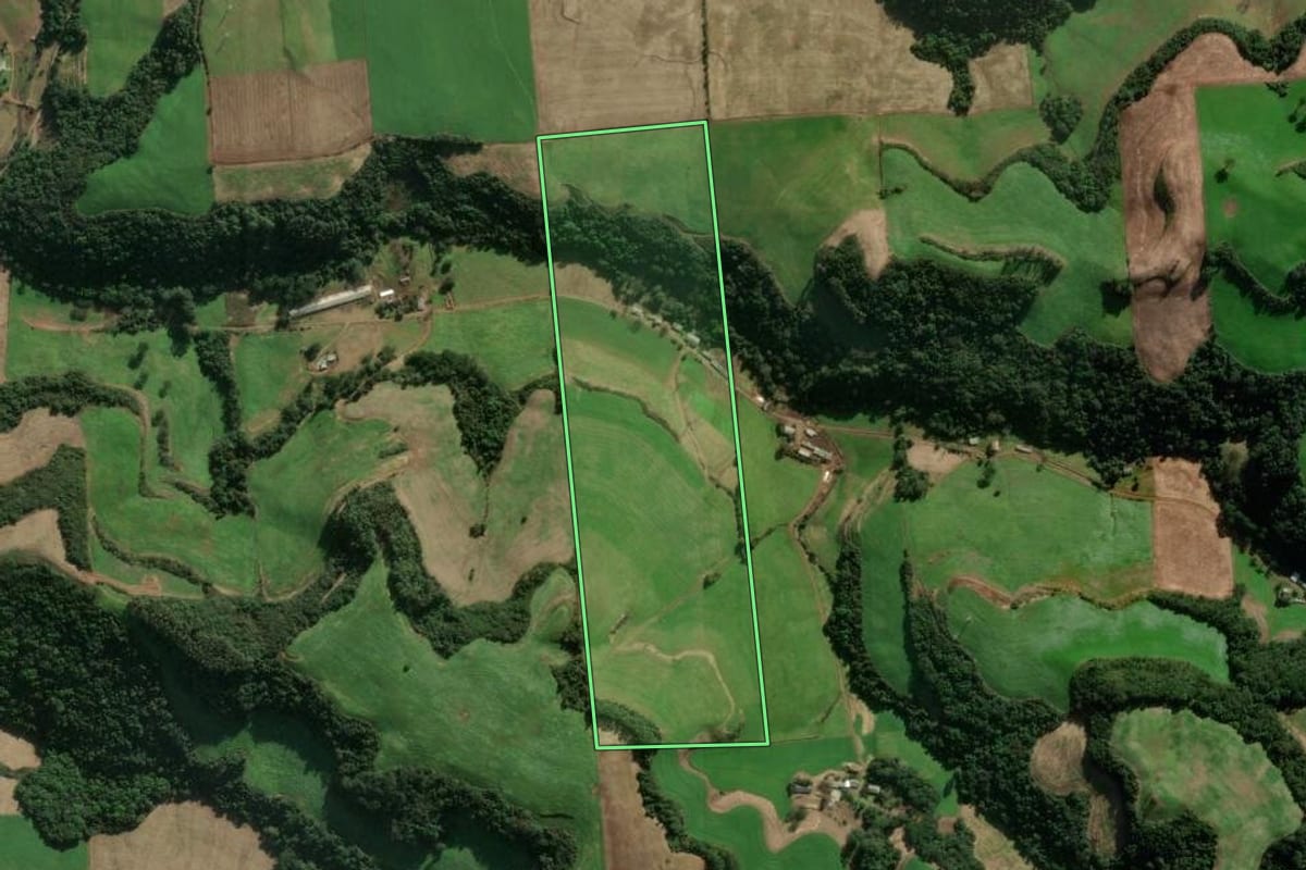 Imagem de satélite do imóvel rural em Serafina Corrêa (RS), com o contorno declarado no CAR desenhado por cima.
